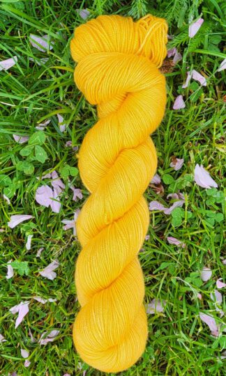 Susi l Kumquat