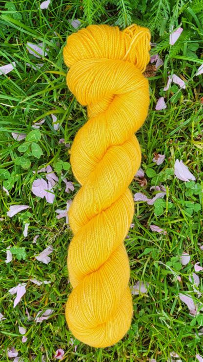 Susi l Kumquat