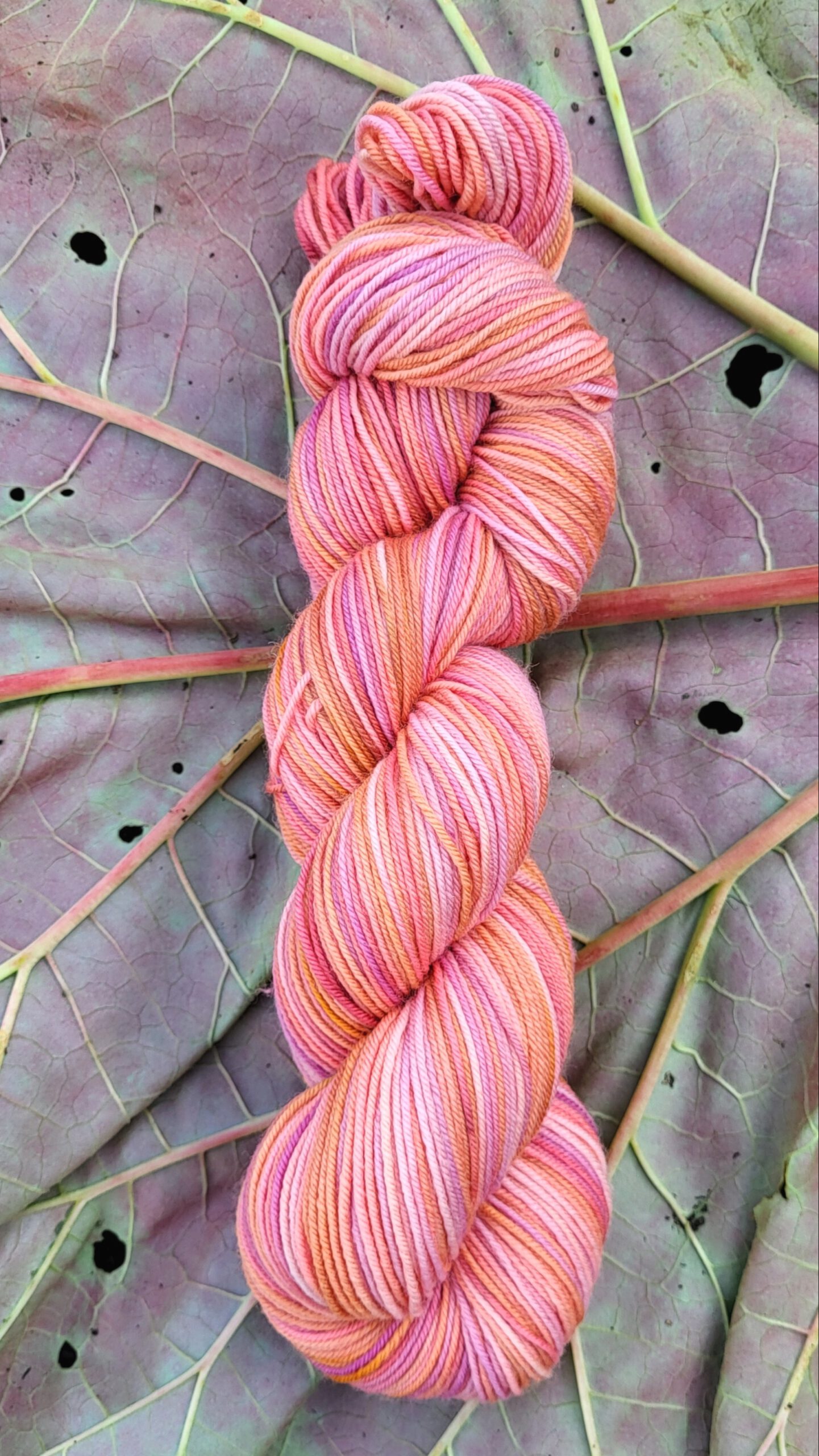 Die Walli - Sonnenglaszauber