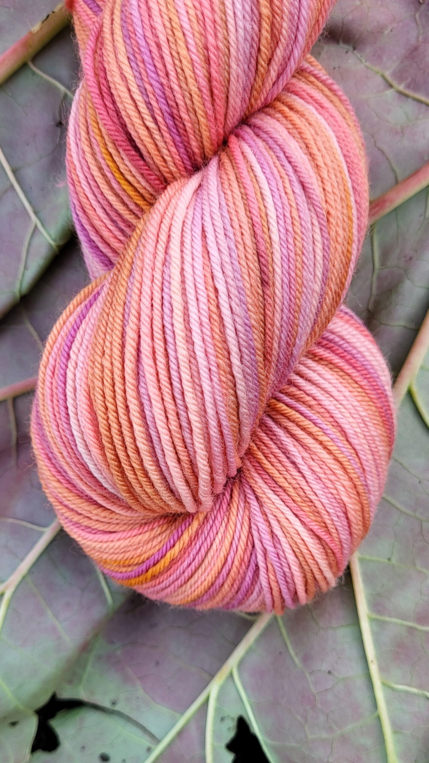 Die Walli - Sonnenglaszauber – Bild 2