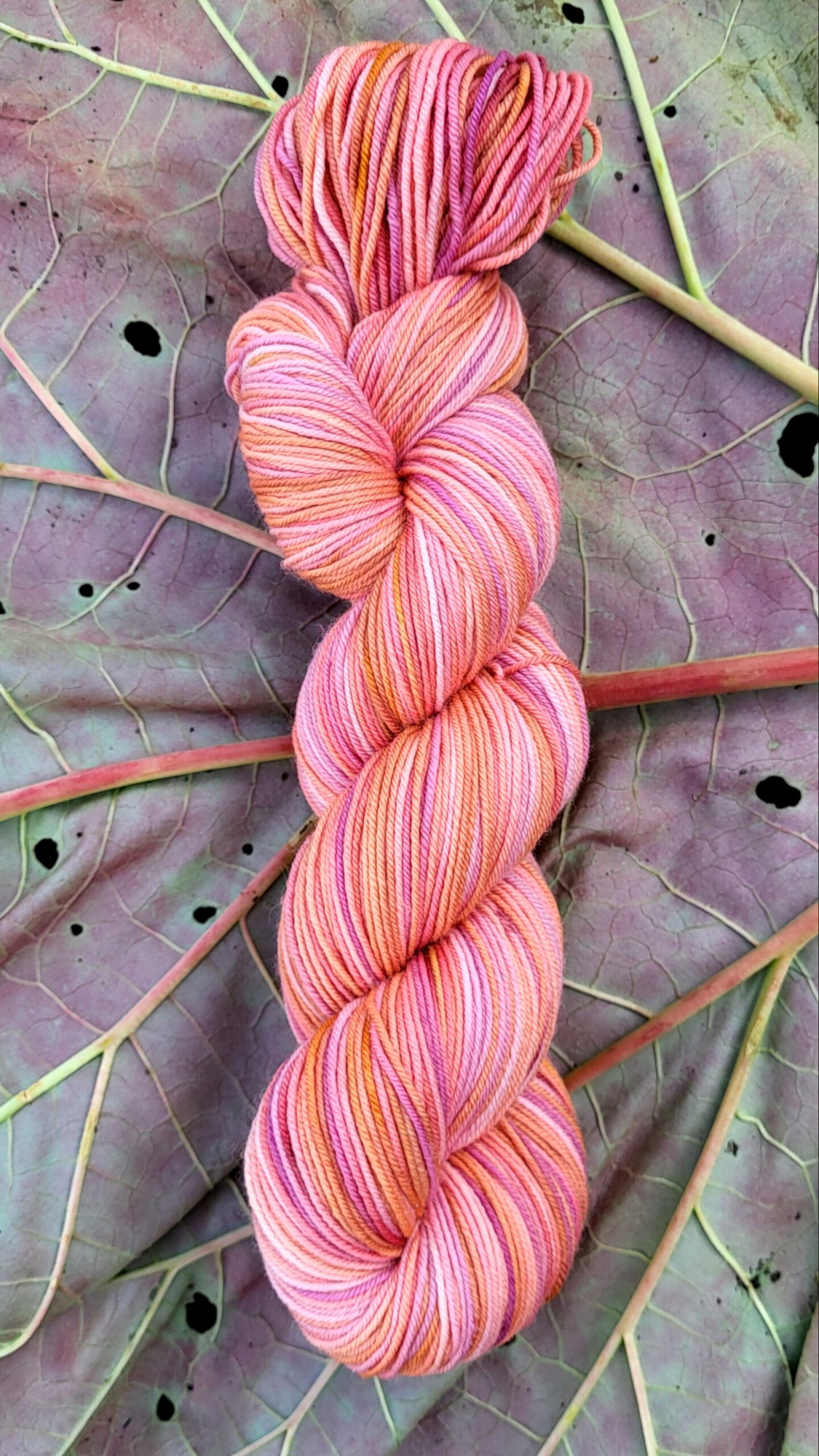 Die Walli - Sonnenglaszauber – Bild 3