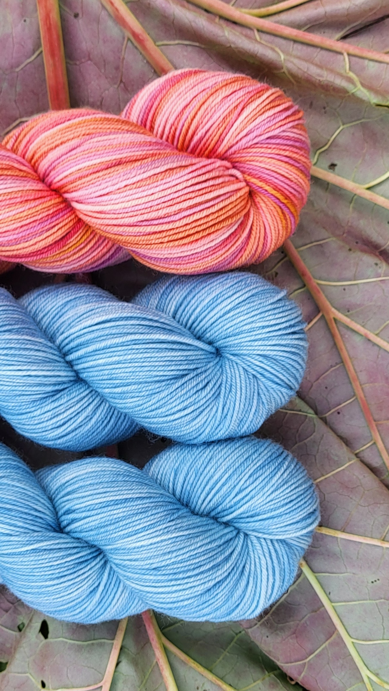 Die Walli - Sonnenglaszauber – Bild 4