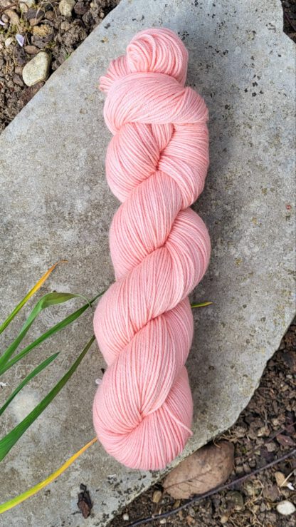Das Mariechen - Flamingo