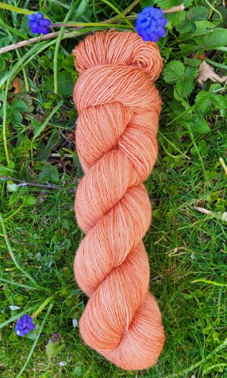 Die feine Flora - Backstein