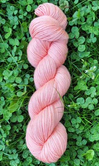 Die seidige Susi - Flamingo