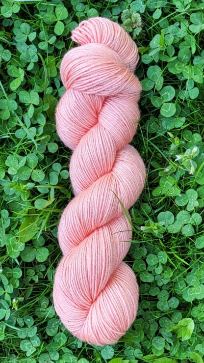 Die seidige Susi - Flamingo