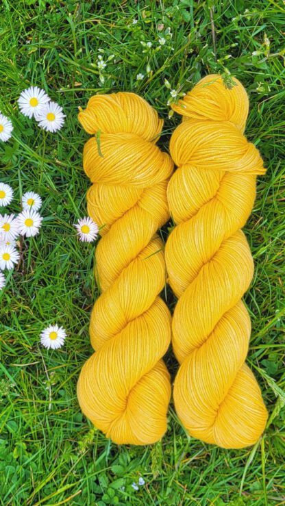 Die seidige Susi - Sonnenblume Set 300g – Bild 2