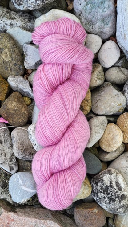 Das sonnige Annamirl - zarte Rose