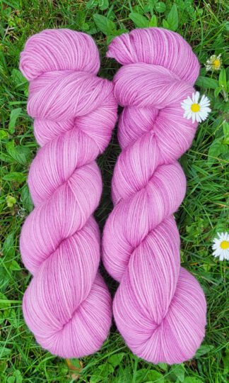 Das sonnige Annamirl - Gartenrose-Set 200g