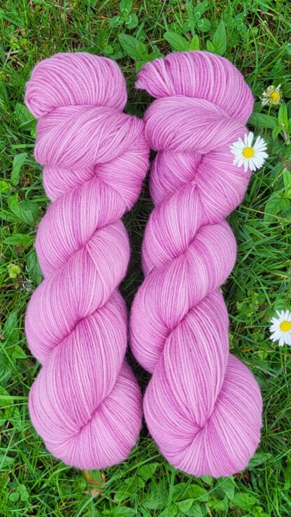 Das sonnige Annamirl - Gartenrose-Set 200g