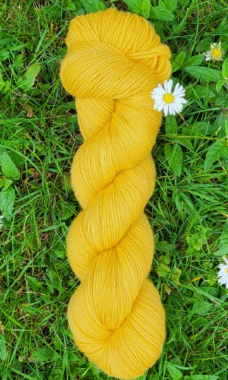 Das sonnige Annamirl - Sonnenblume