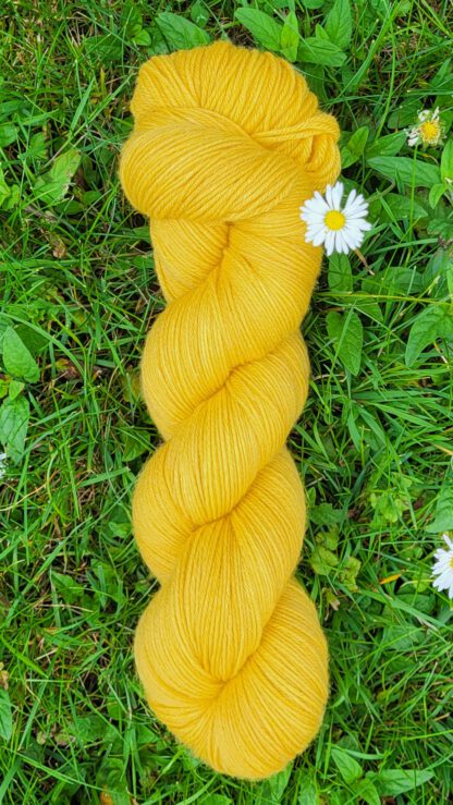 Das sonnige Annamirl - Sonnenblume