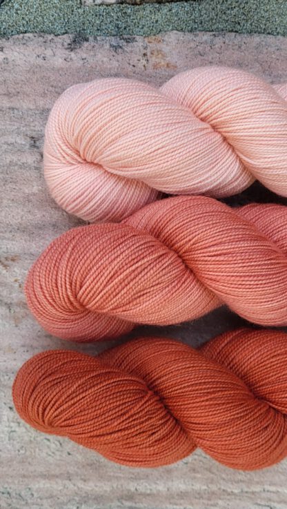 Die perlende Paula - Flamingo – Bild 2
