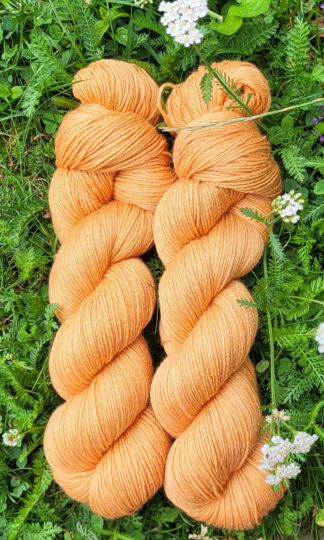Der Bambus-Bene - Sonnenauge Set 200g/800m