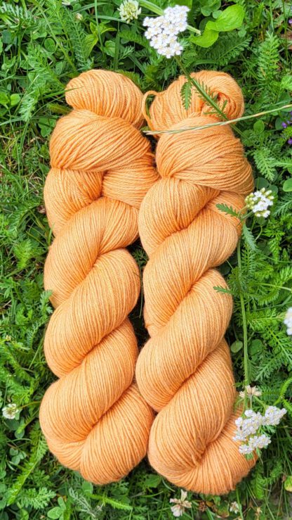 Der Bambus-Bene - Sonnenauge Set 200g/800m