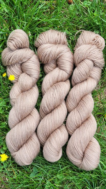 Der Bambus-Bene - Vollmilchschoki Set 300g/1200m