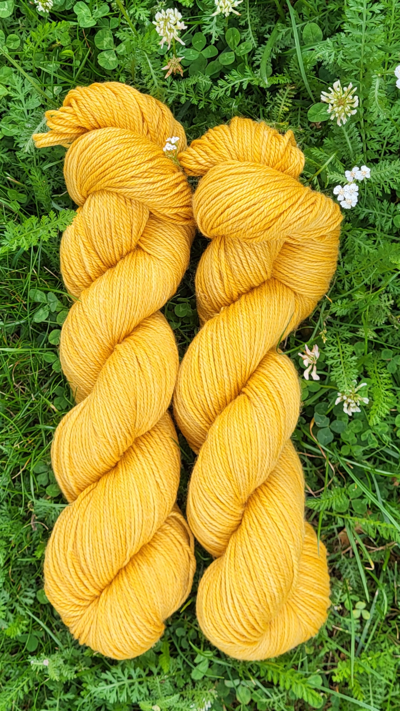Die Rosali - Sonnenblumen Set 200g/600m Ll