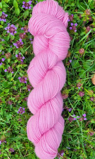 Die Rosali - Rosenblüte