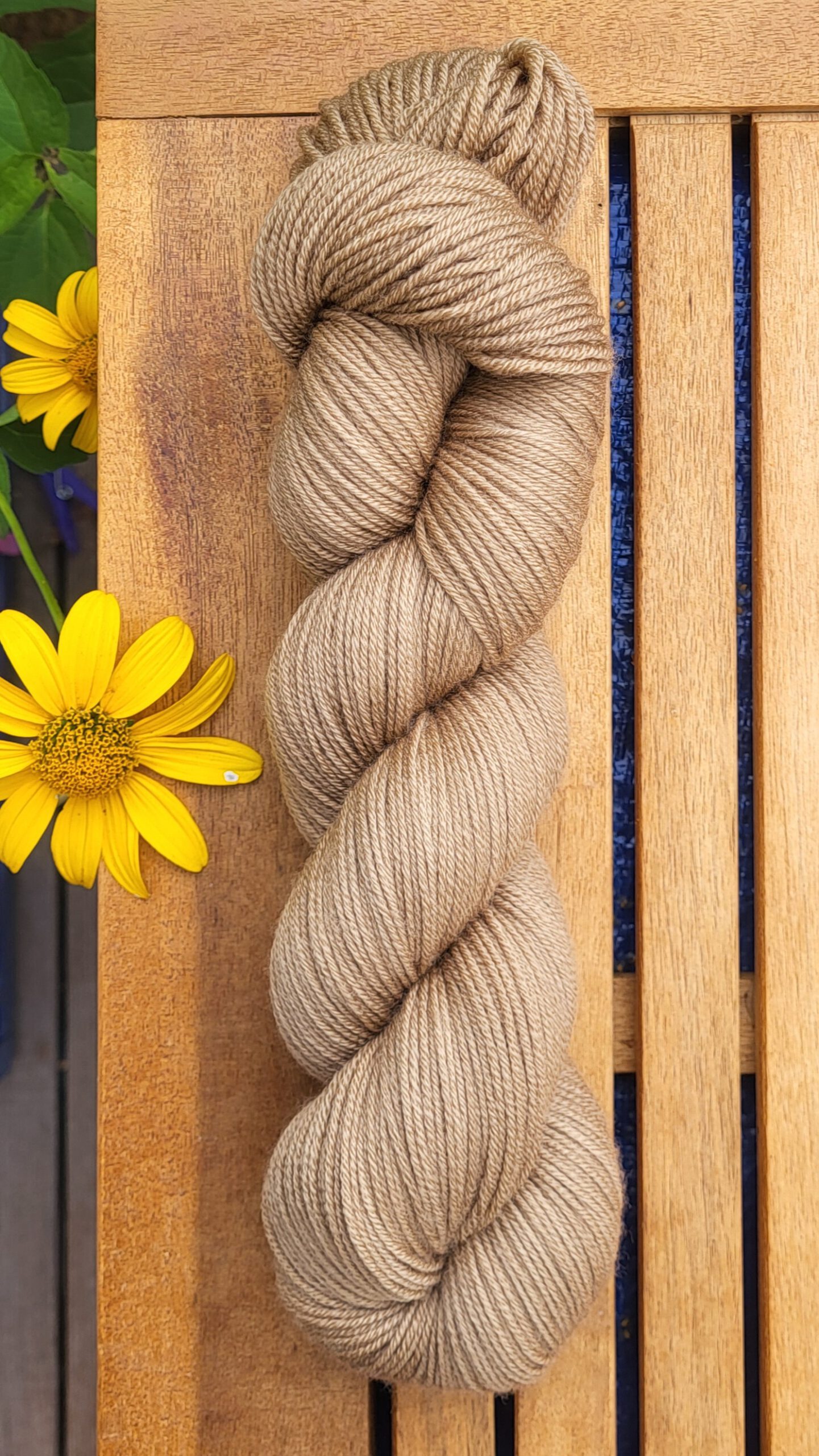 Die Franzi - Walnüsschen