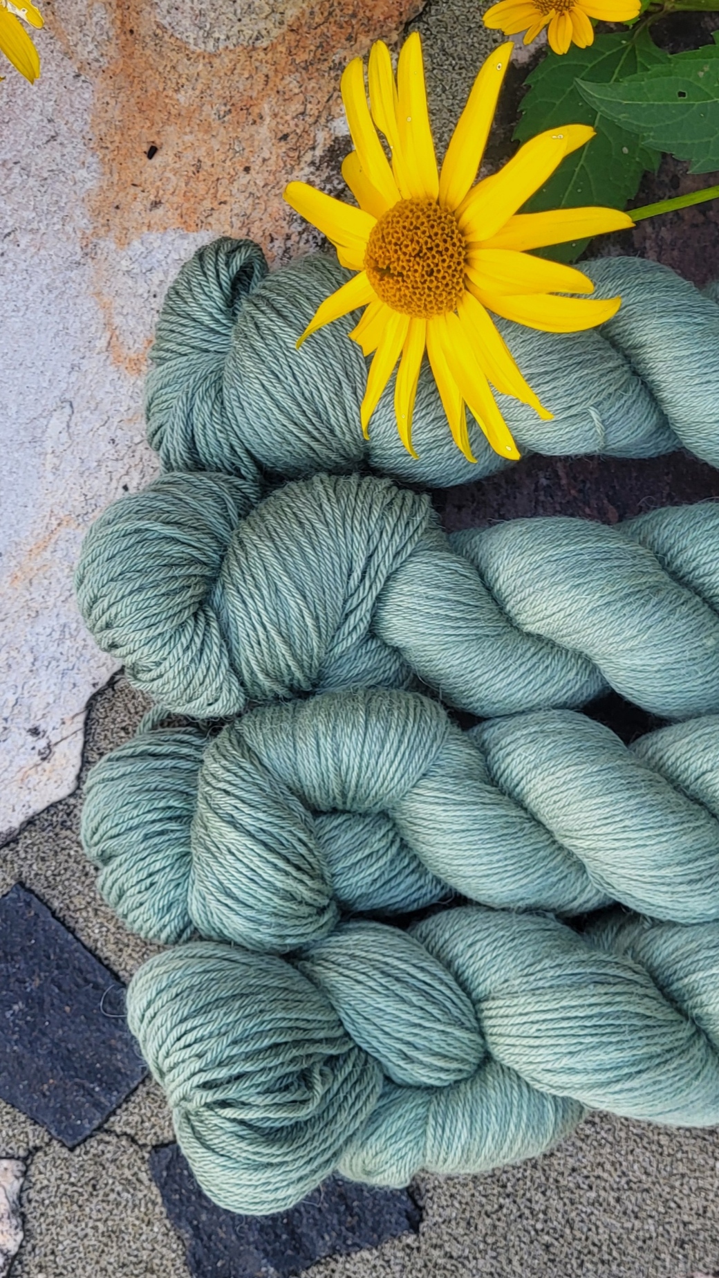 Der Bambus-Basti - Stockrose Set 400g/1200mLl – Bild 2