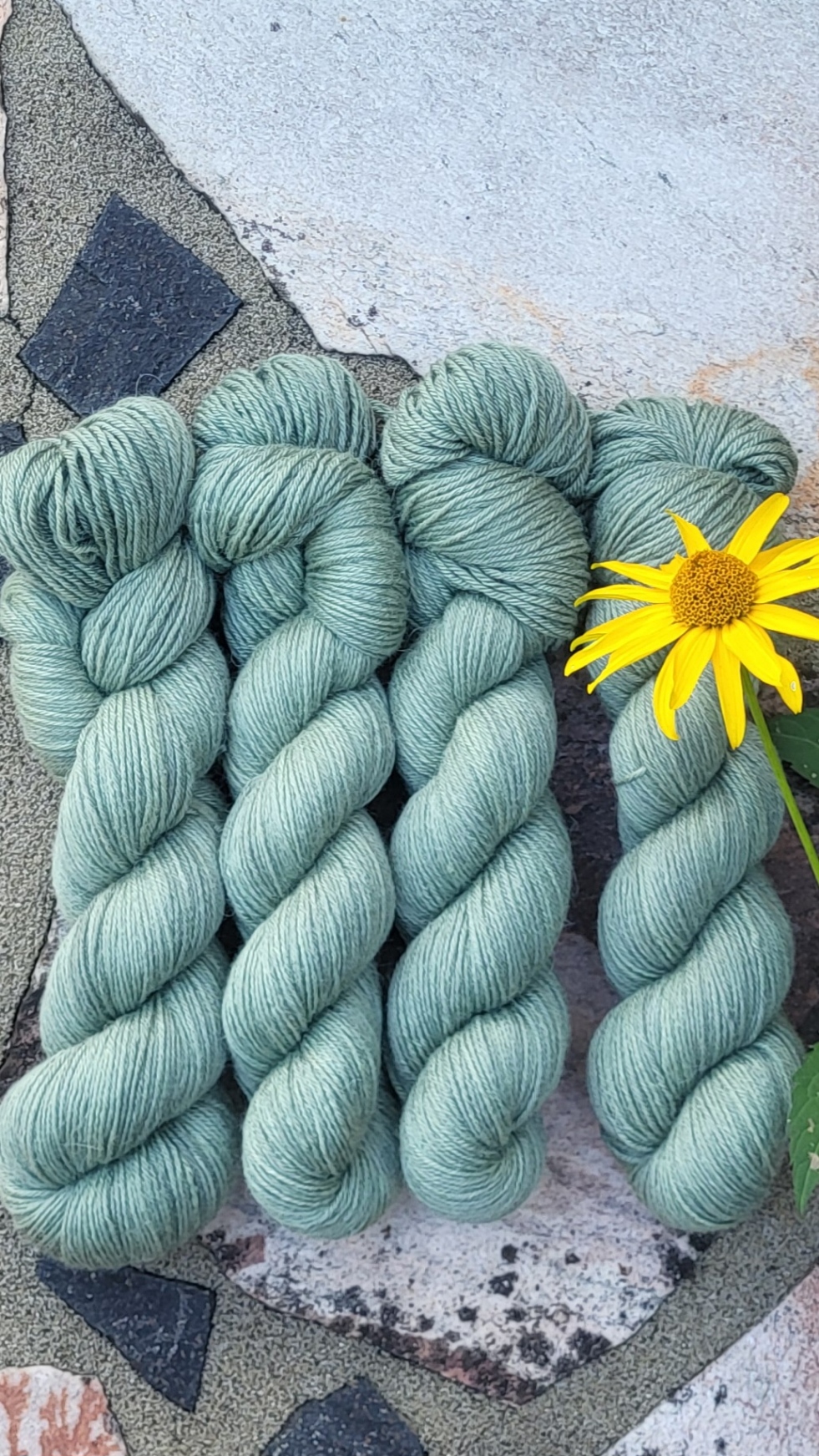 Der Bambus-Basti - Stockrose Set 400g/1200mLl