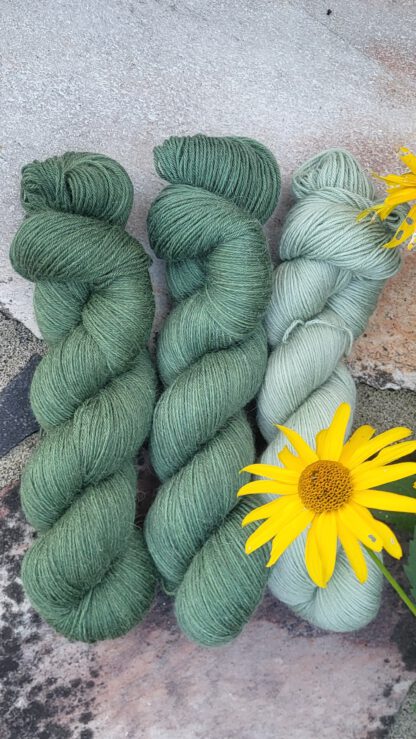 Die Lisbeth - Helles Birkenlaub – Bild 2