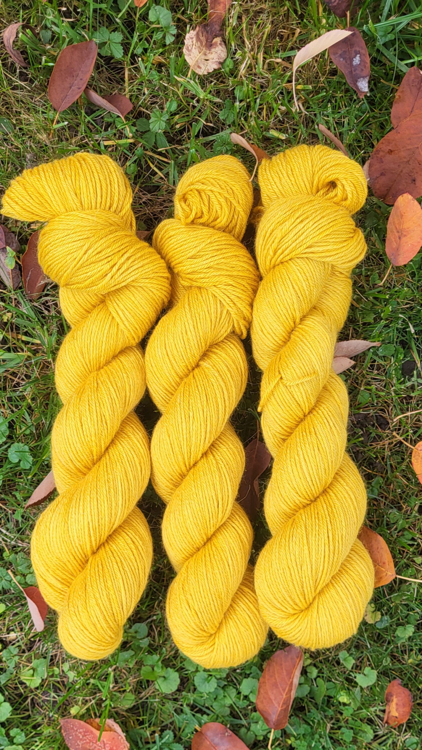 Rosalin-Jacken-Set in sonnengelb – Bild 2