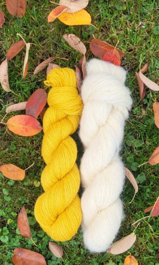 Rosalin-Jacken-Set in sonnengelb