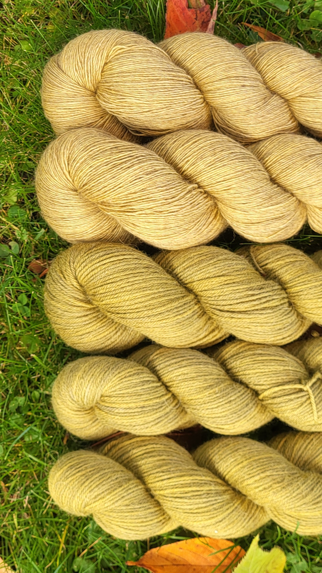 Rosalin-Jacken-Set in grünem Heidekraut