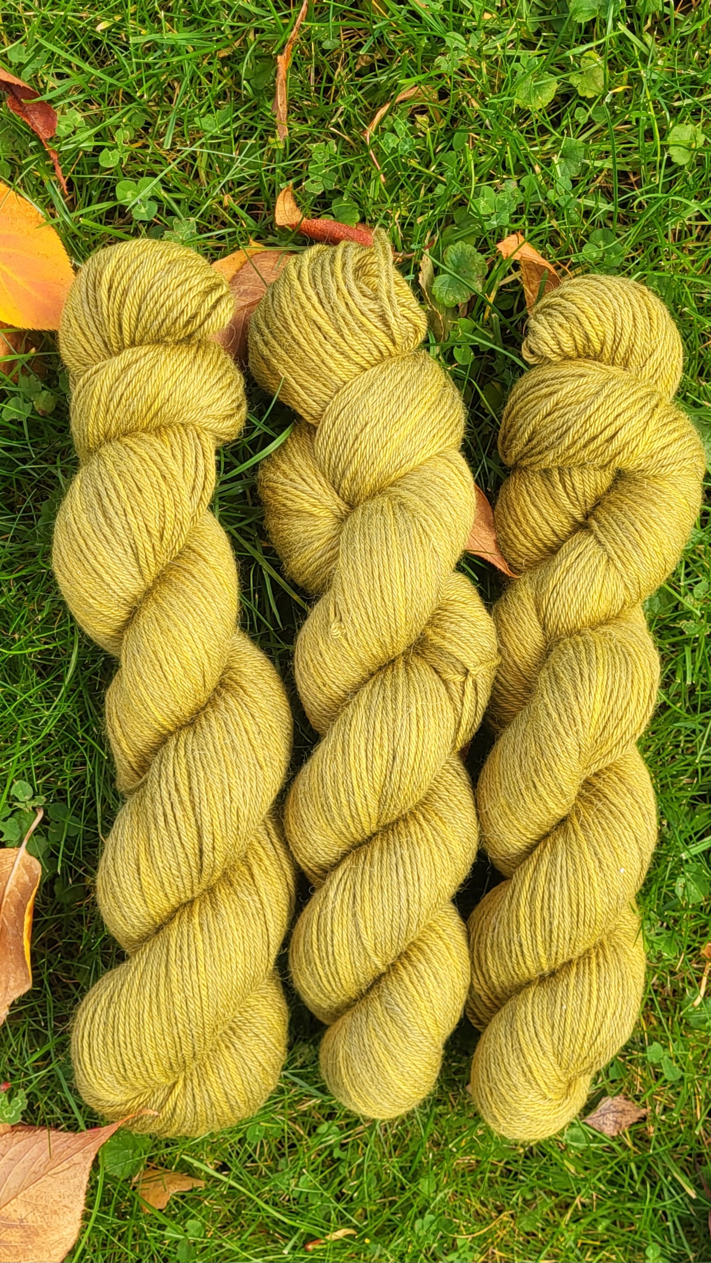 Rosalin-Jacken-Set in grünem Heidekraut – Bild 2