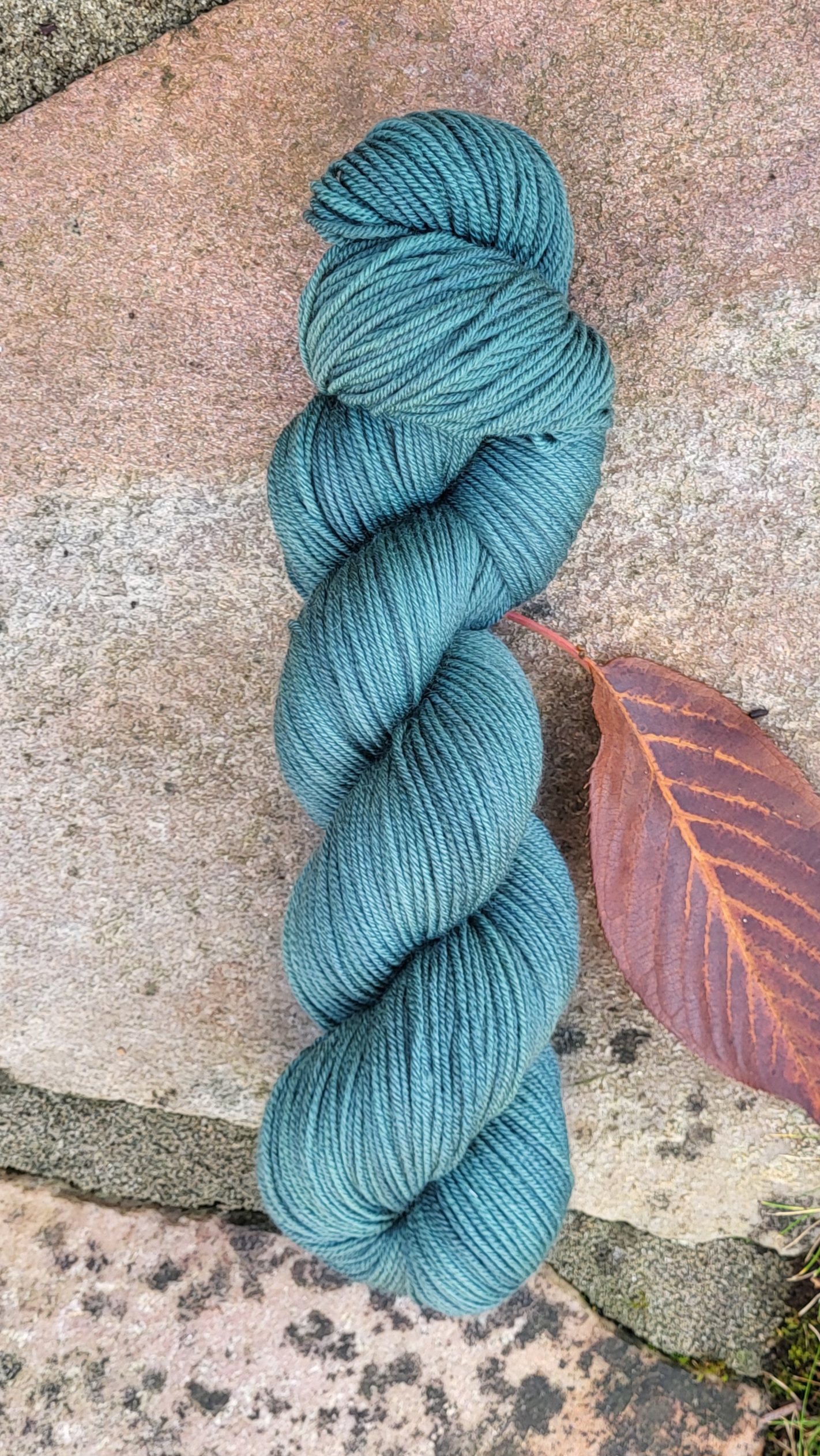 Die Franzi - Stockrose