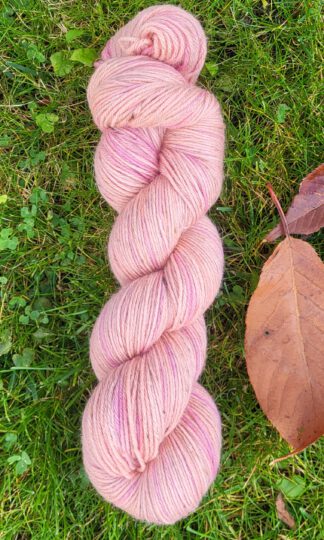 Der Max im Tweed - Sonnenzauberglas 2