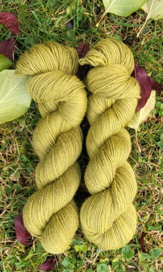 Das edle Babett - Im Moos