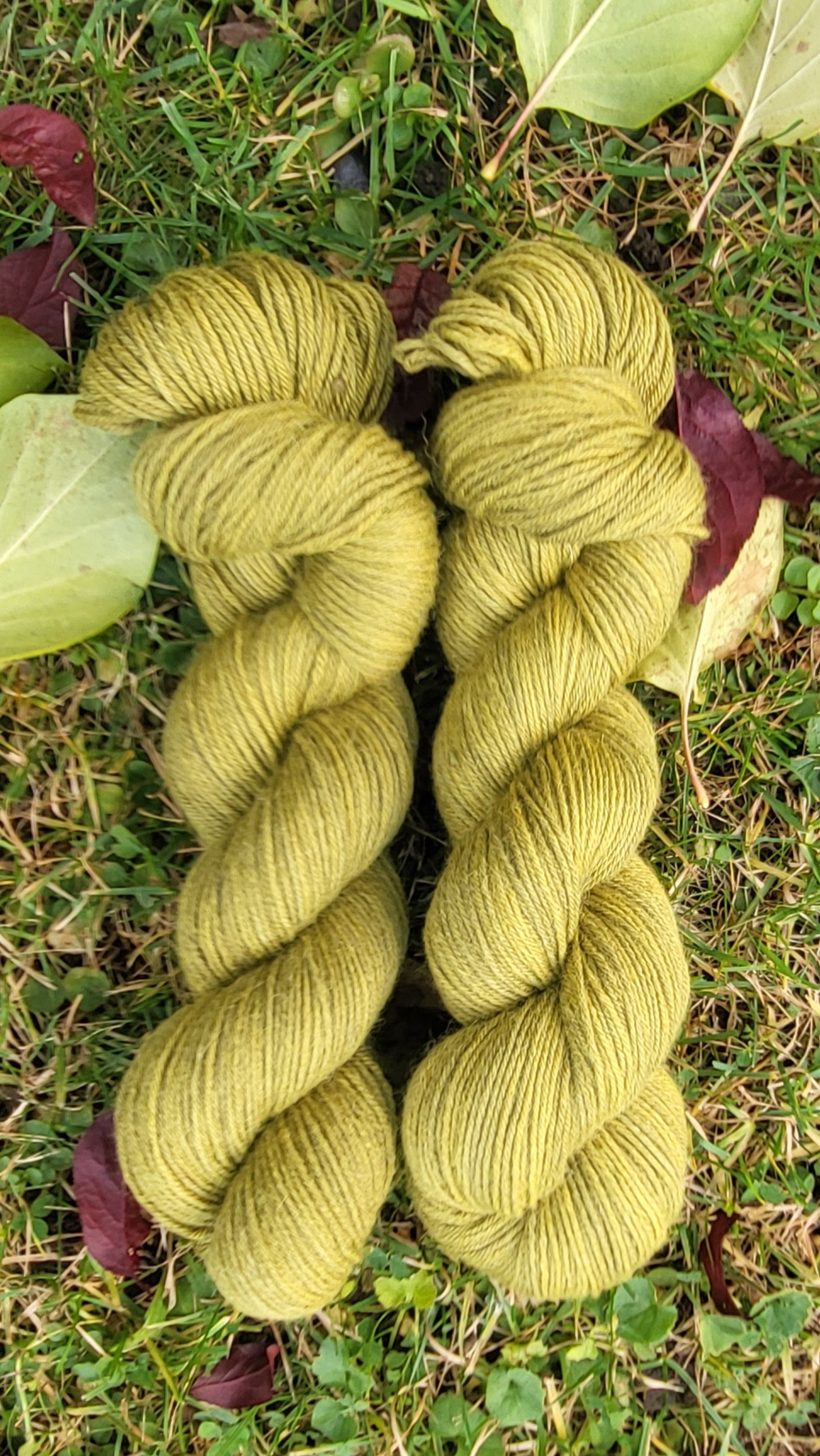 Das edle Babett - Im Moos