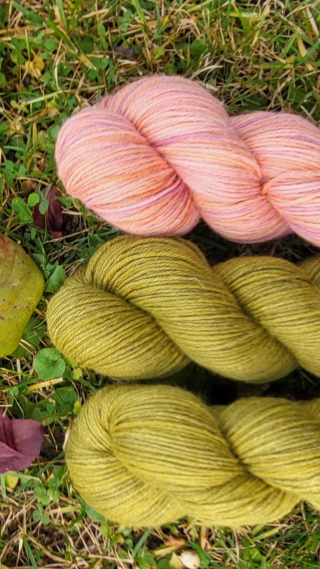 Das edle Babett - Im Moos – Bild 2