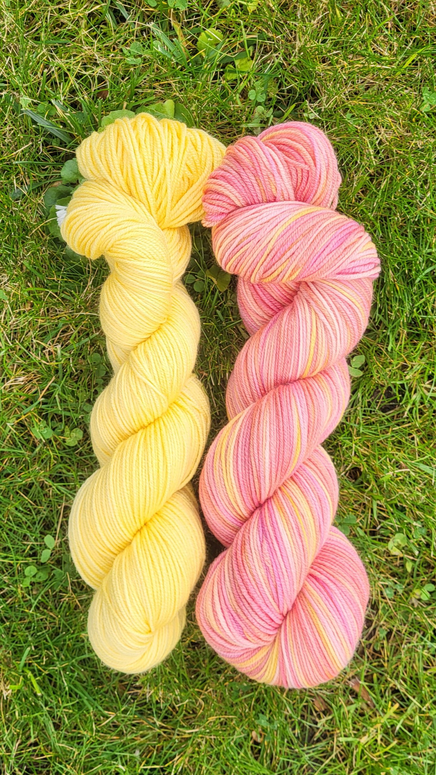 Die Franzi - Sonnenschein-Set 200g/660mLl
