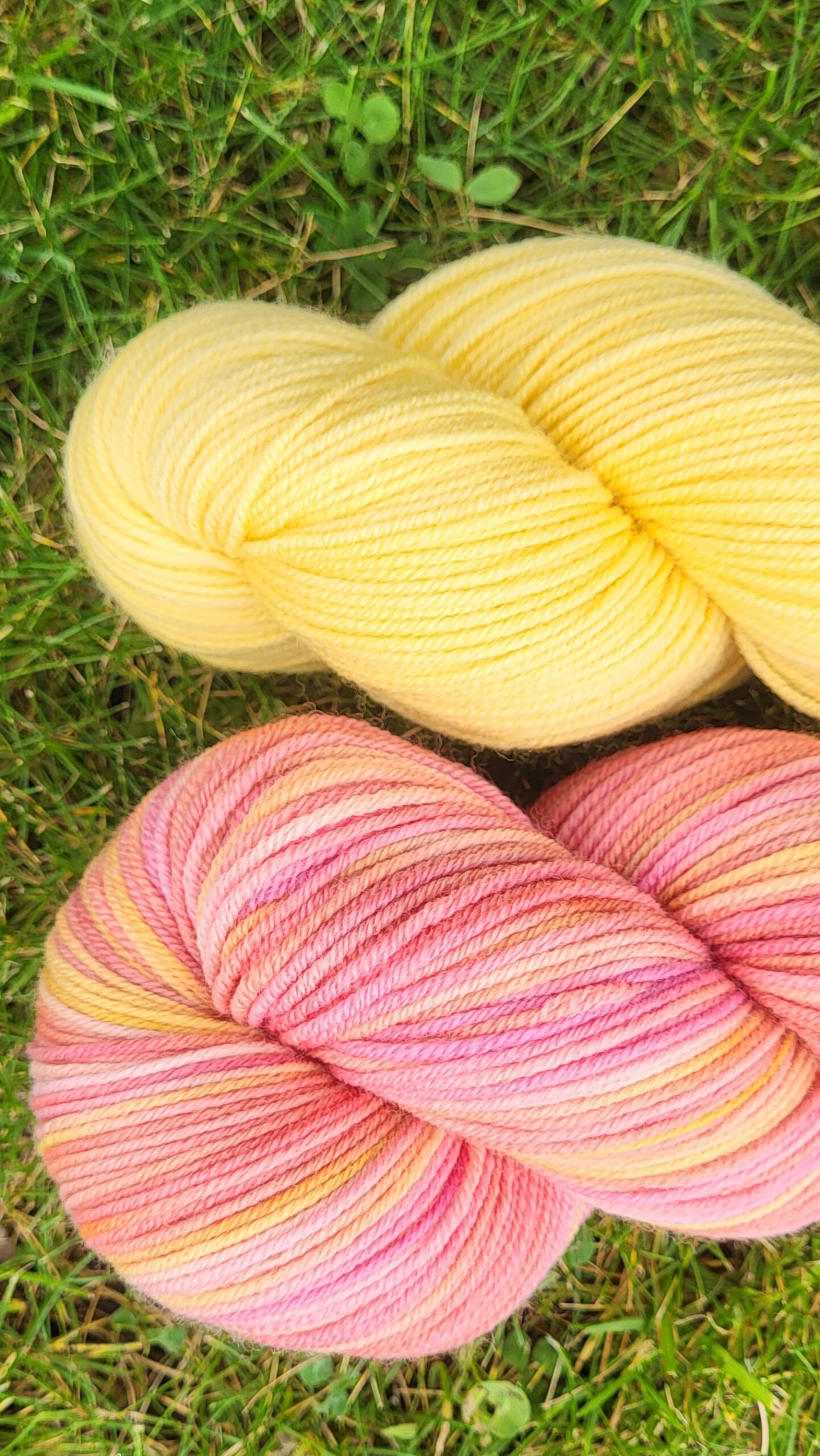 Die Franzi - Sonnenschein-Set 200g/660mLl – Bild 2