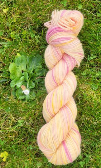 Die Rosali - Sonnenglaszauber SG 3