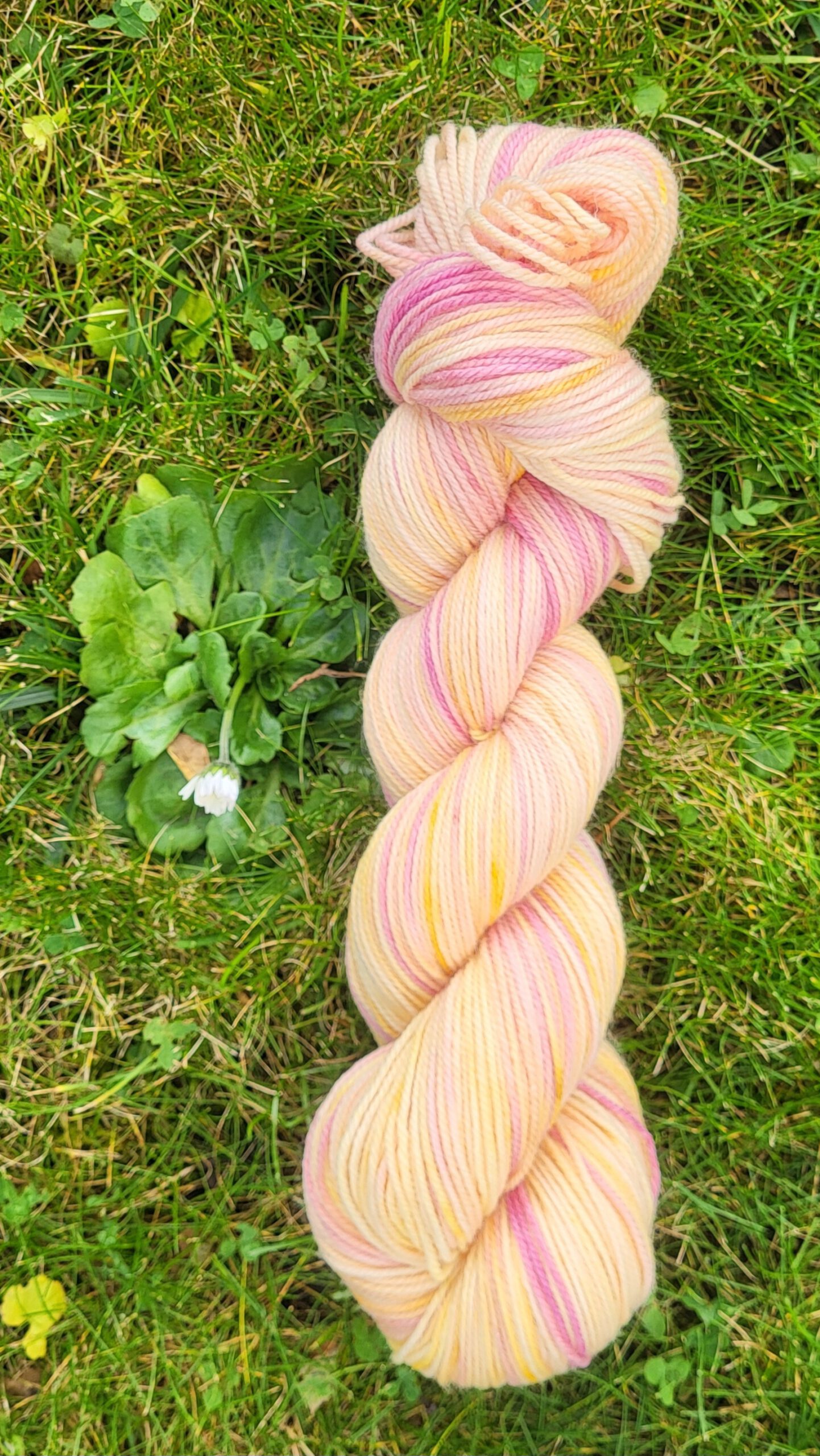 Die Rosali - Sonnenglaszauber SG 3