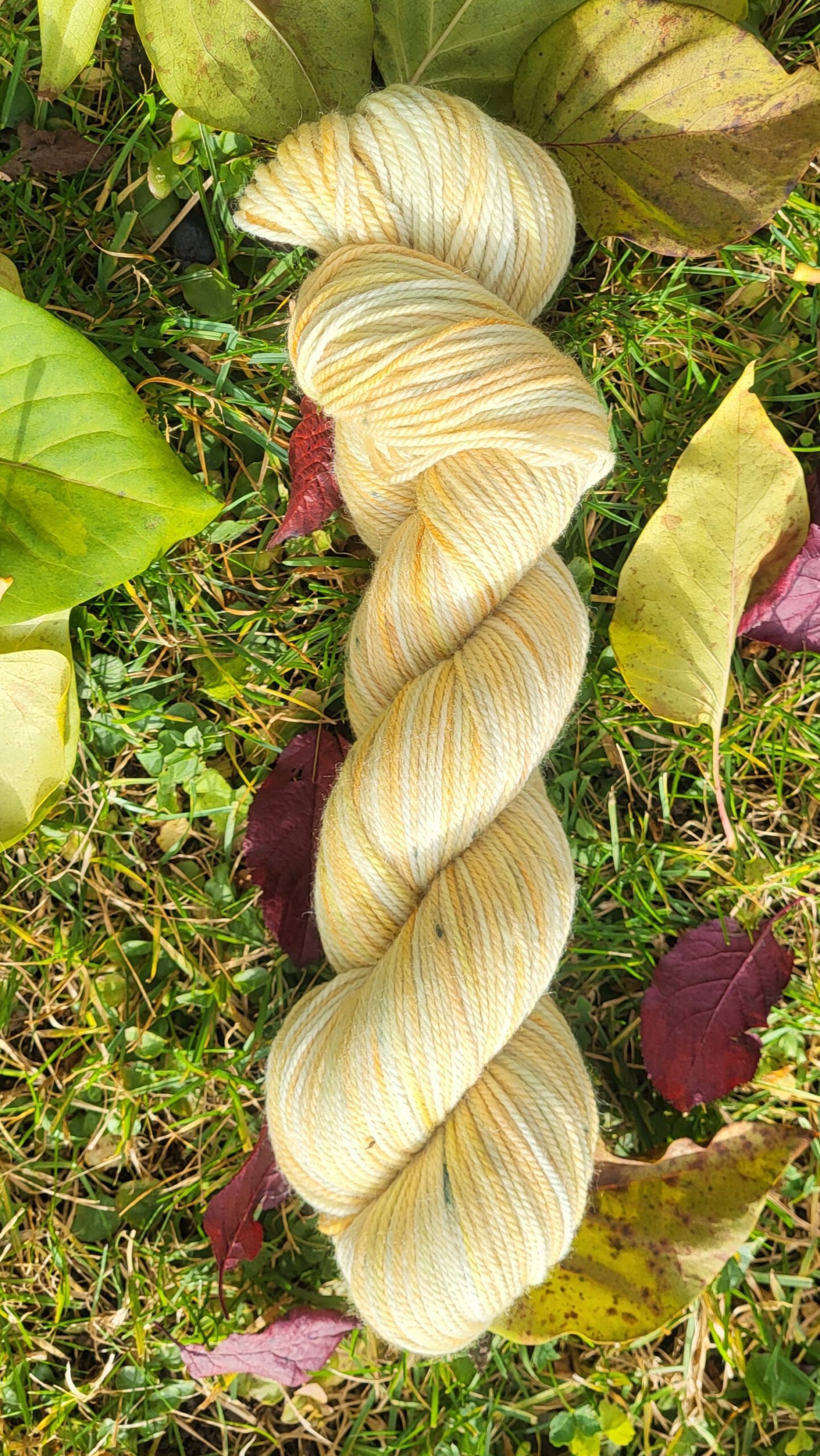 Die Rosali - Sonnenglaszauber SG 4