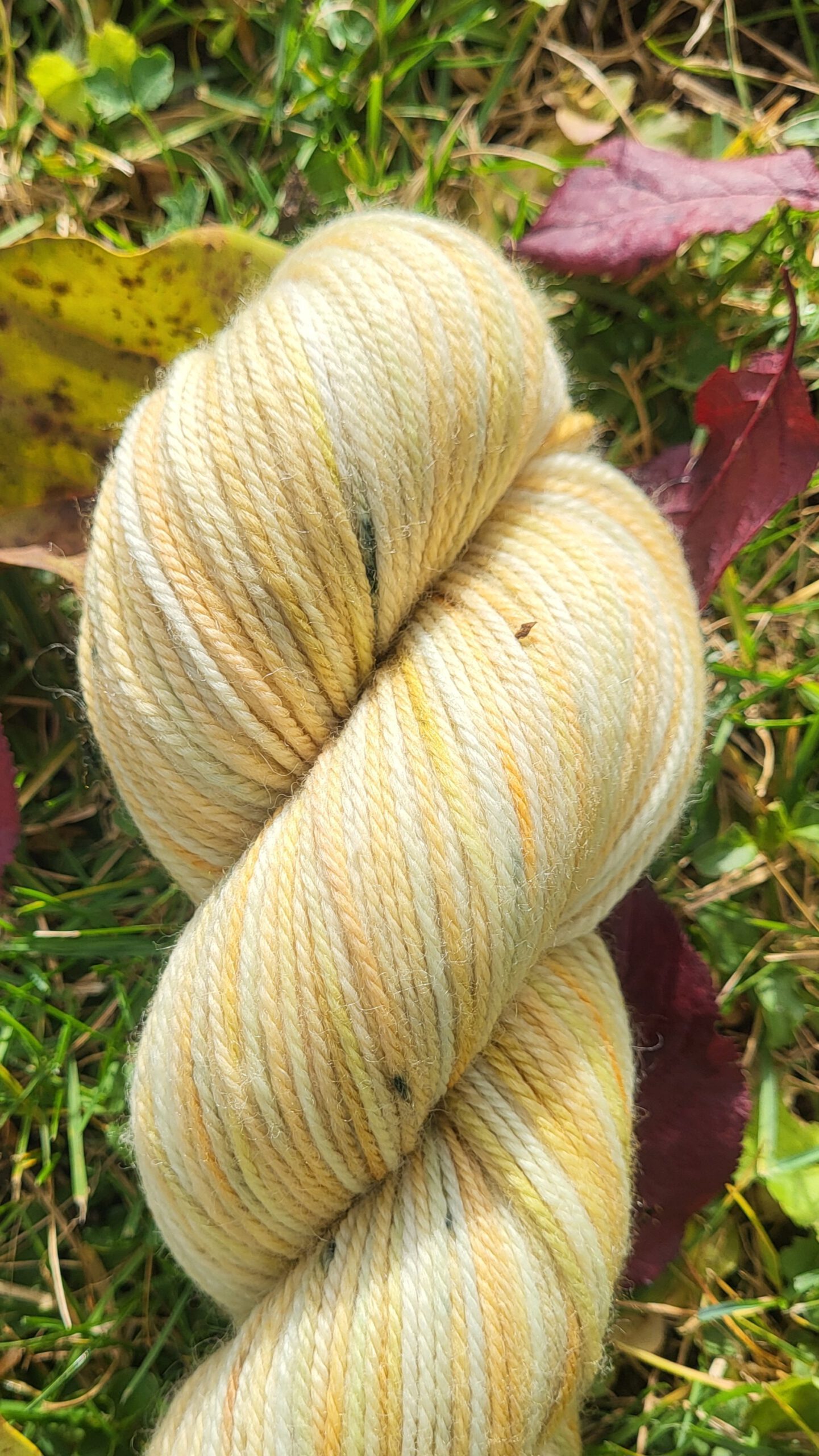 Die Rosali - Sonnenglaszauber SG 4 – Bild 2