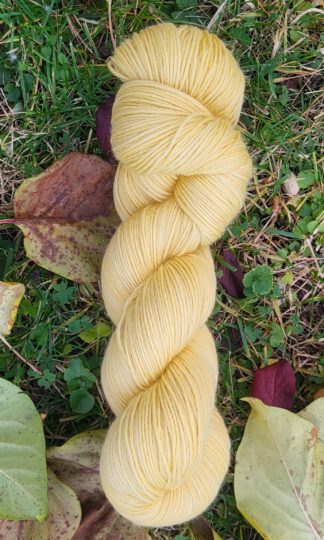 Die Lisbeth - Sonnenschein