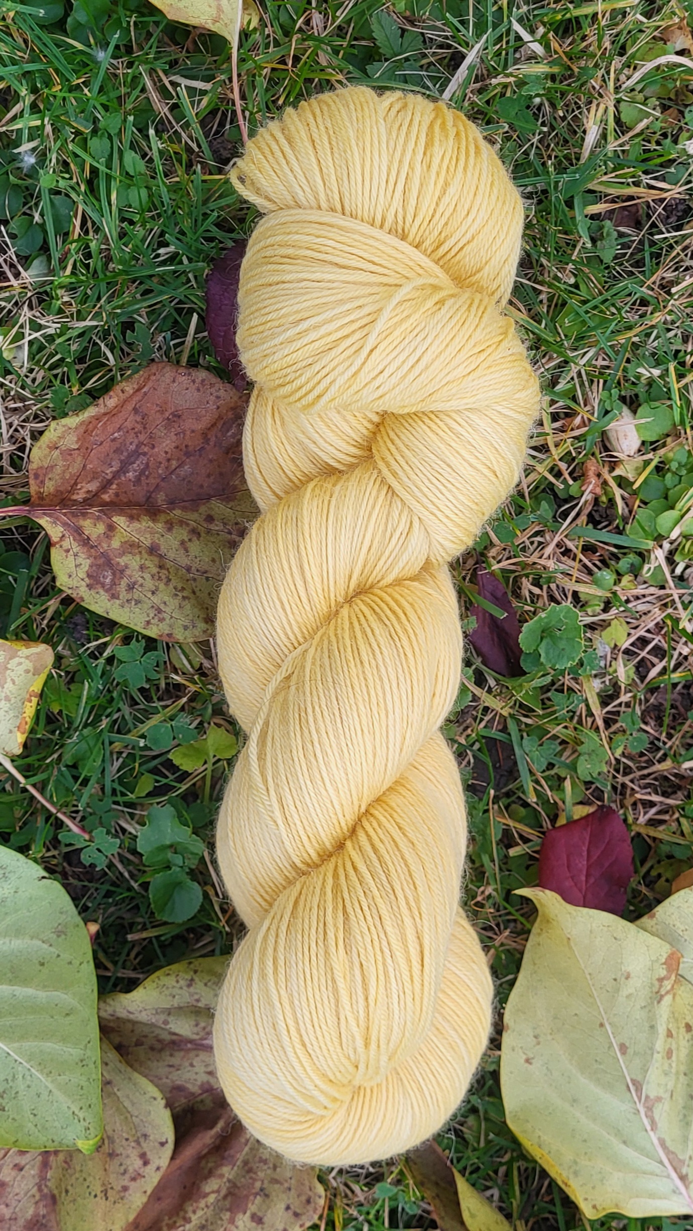 Die Lisbeth - Sonnenschein