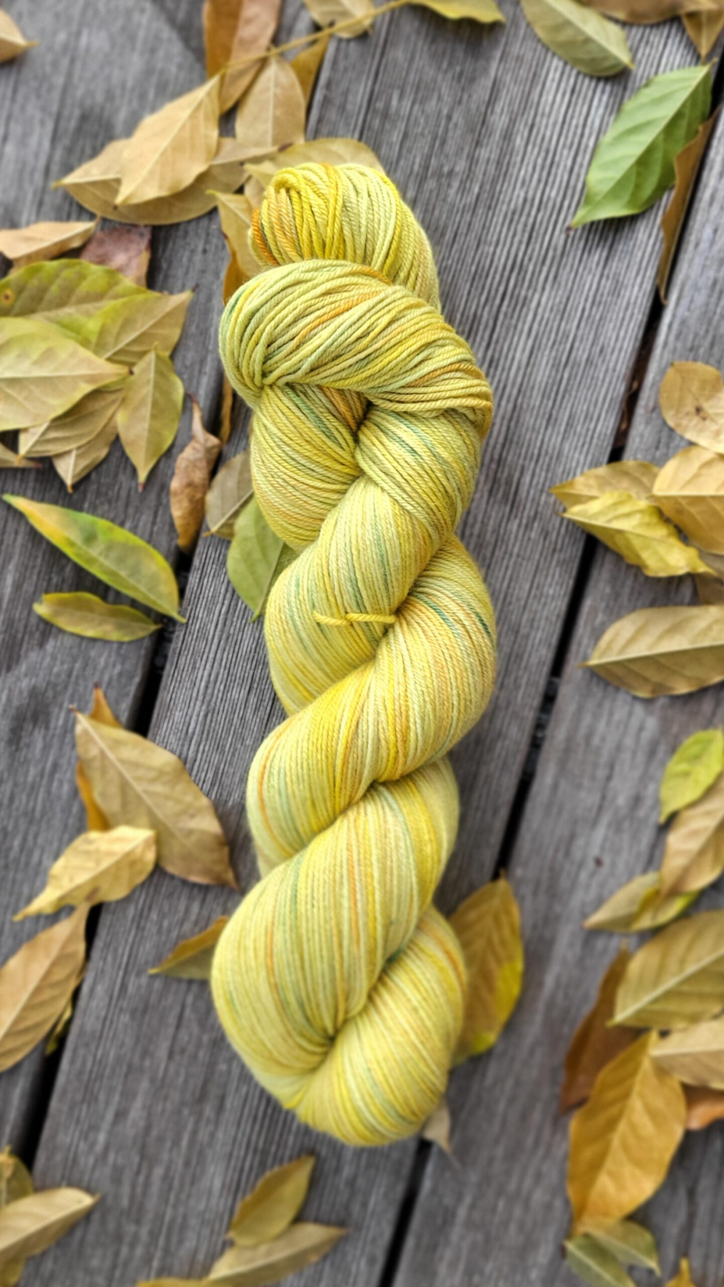 Die seidige Susi im Sonnenglaszauber 2