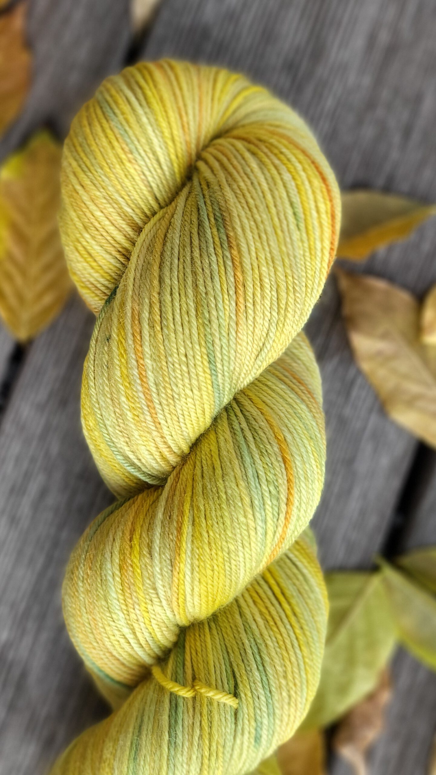 Die seidige Susi im Sonnenglaszauber 2 – Bild 2