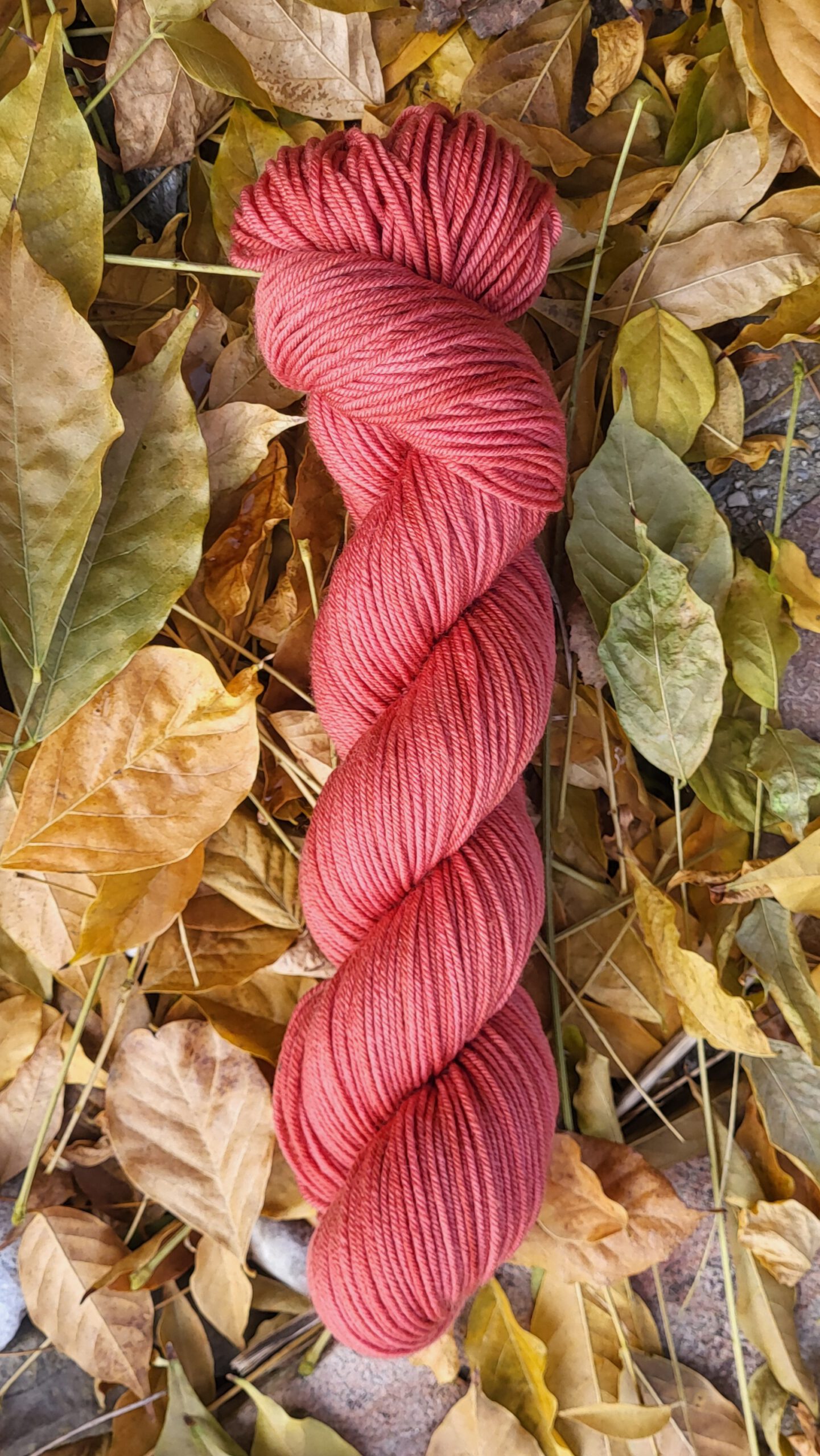 Die Walli - Terracotta