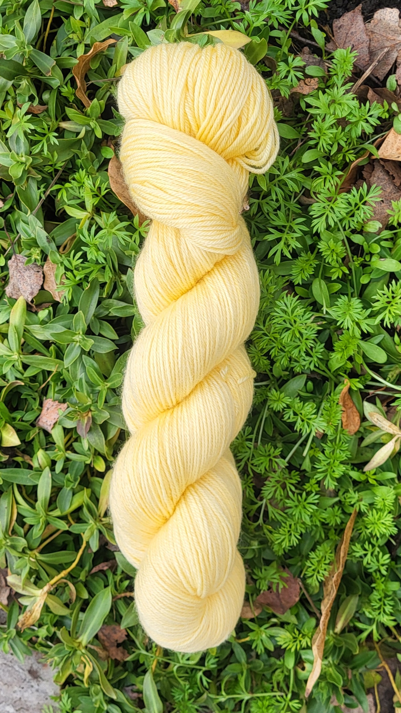 Das sonnige Annamirl - Sonnenschein