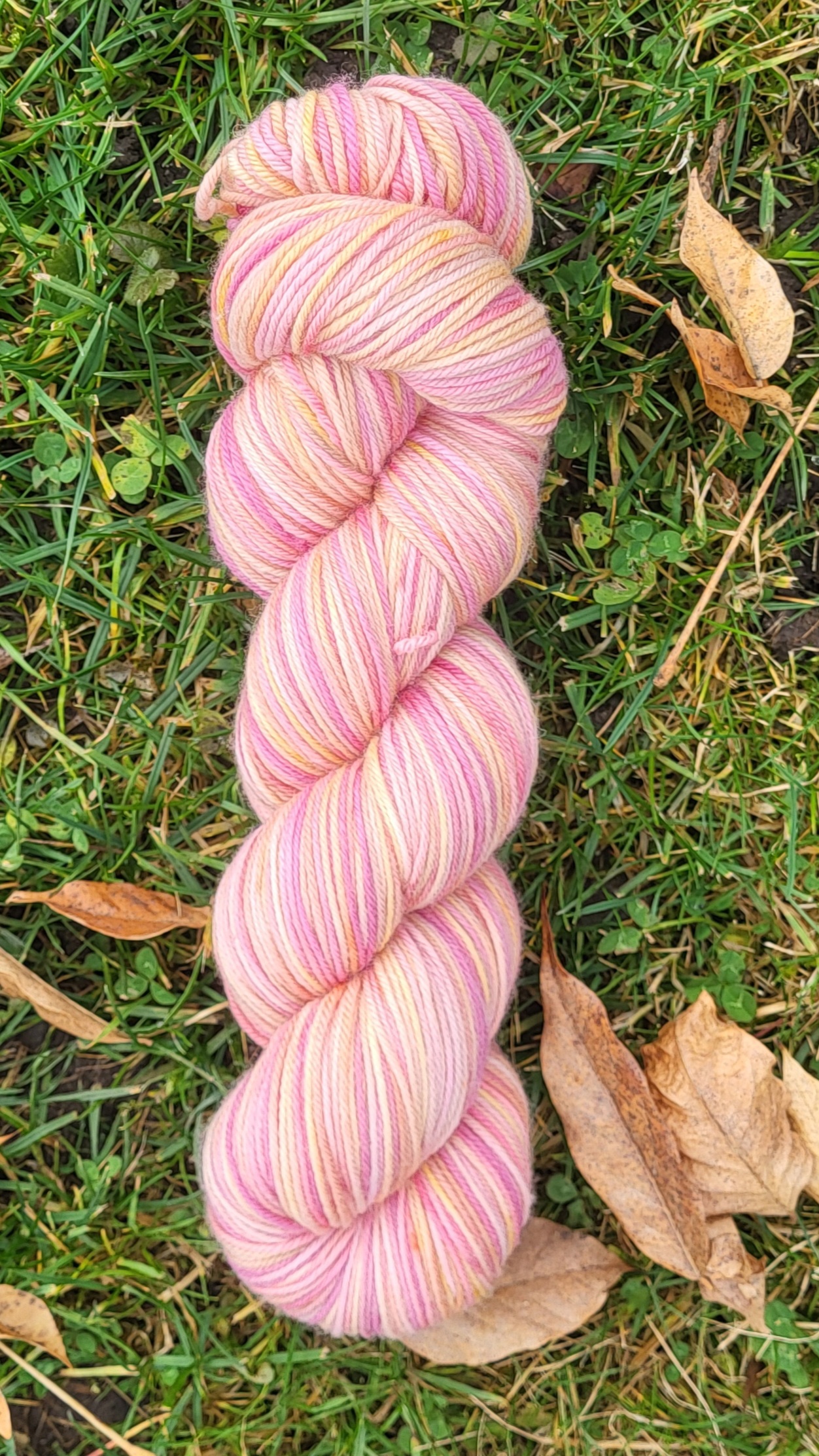 Die samtige Soffi im Zaubersonnenglas 1