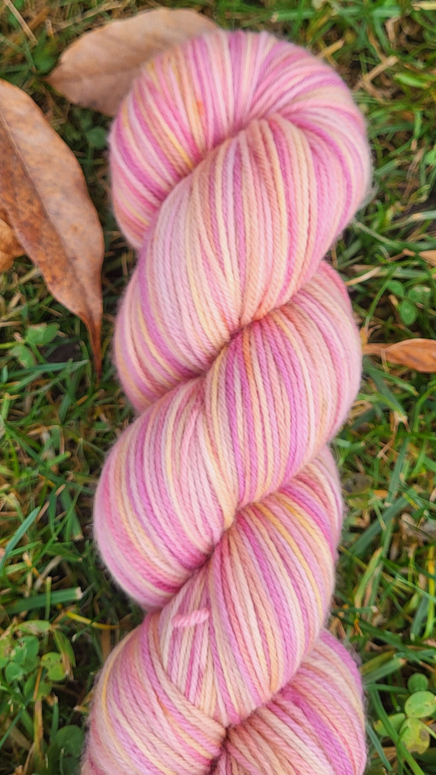 Die samtige Soffi im Zaubersonnenglas 1 – Bild 2