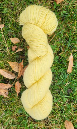 Die fröhliche Vroni - Sonnenblume